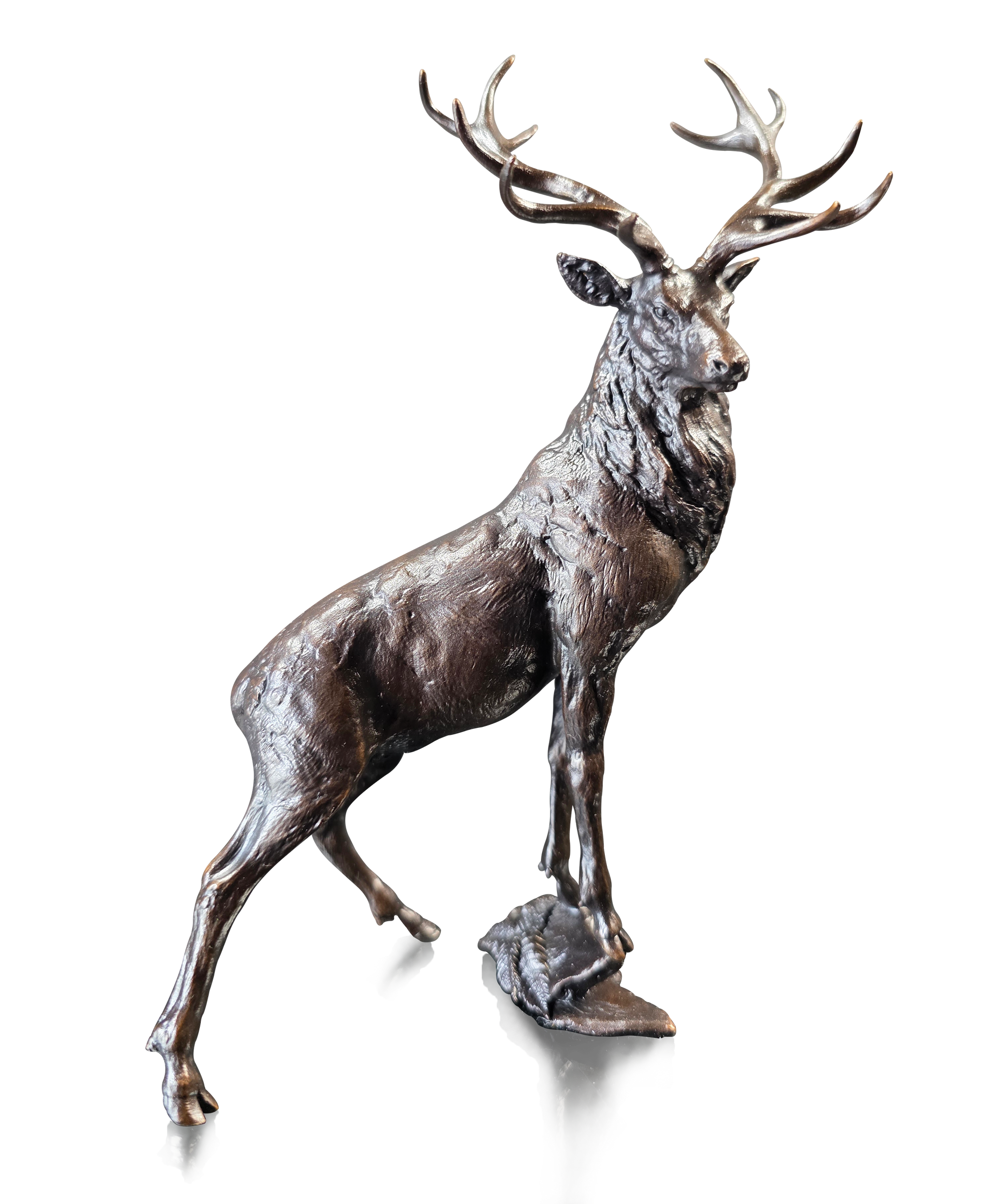 Richard Cooper Highland Wilderness NEW-Goviers