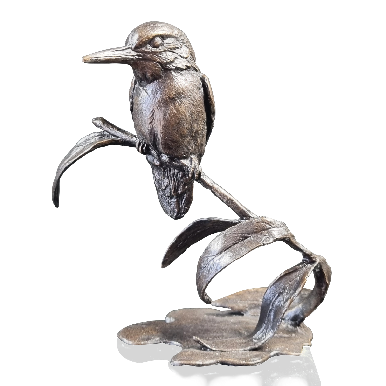 Richard Cooper Kingfisher-Goviers