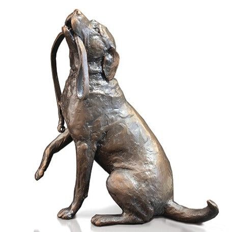 Richard Cooper Labrador with Lead Medium-Goviers