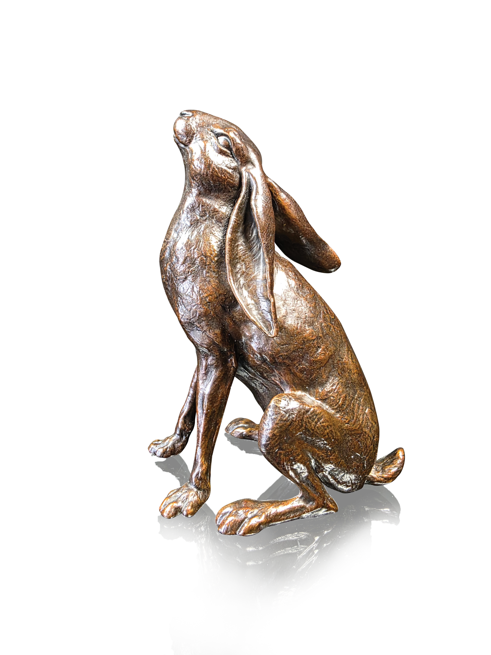 Richard Cooper Large Hare Moon Gazing-Goviers