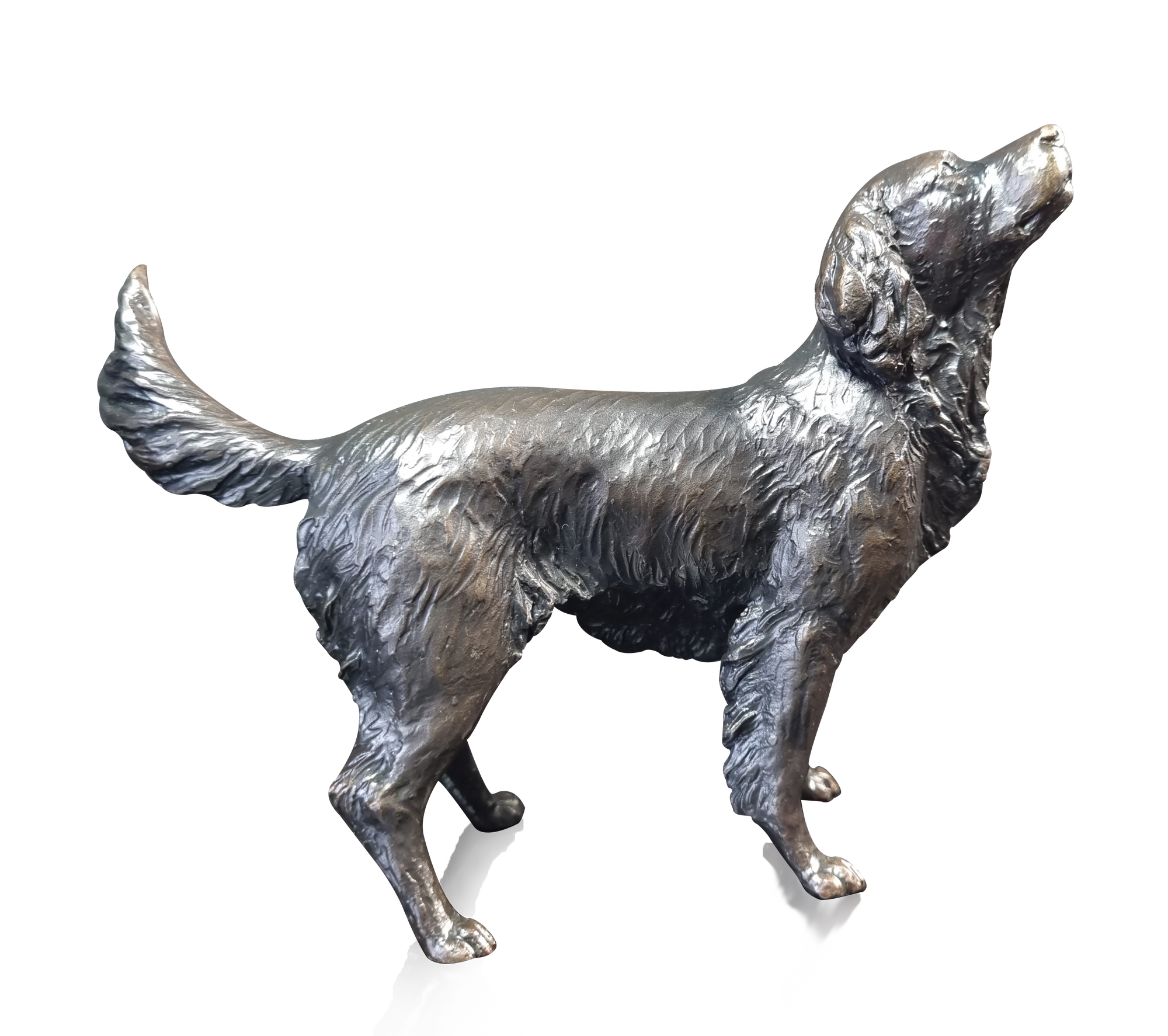 Richard Cooper Medium Springer Spaniel NEW-Goviers