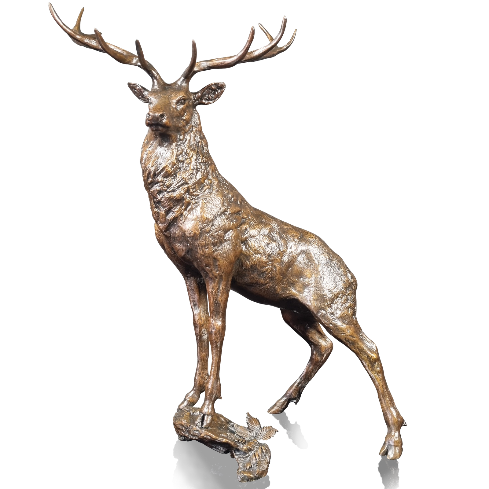 Richard Cooper Prince of the Glen-Goviers