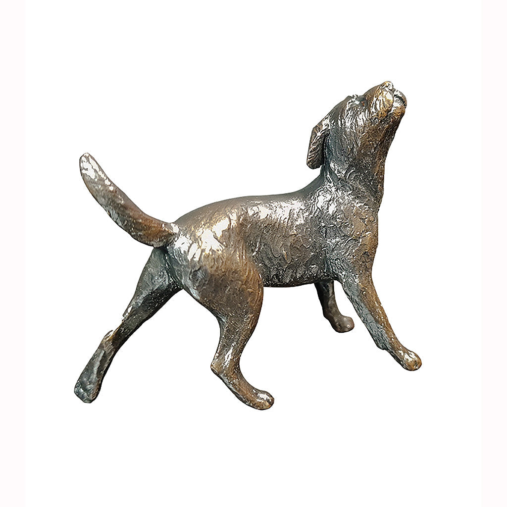 Richard Cooper Small Border Terrier-Bronzes-Goviers
