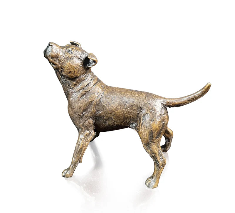 Richard Cooper Staffordshire Bull Terrier-Goviers
