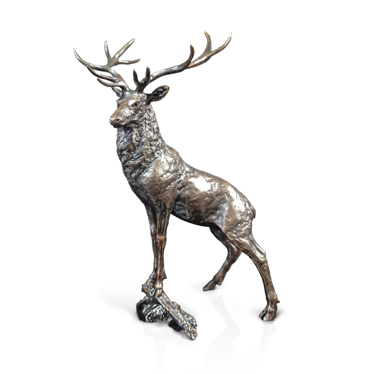 Richard Cooper The Leader-Goviers