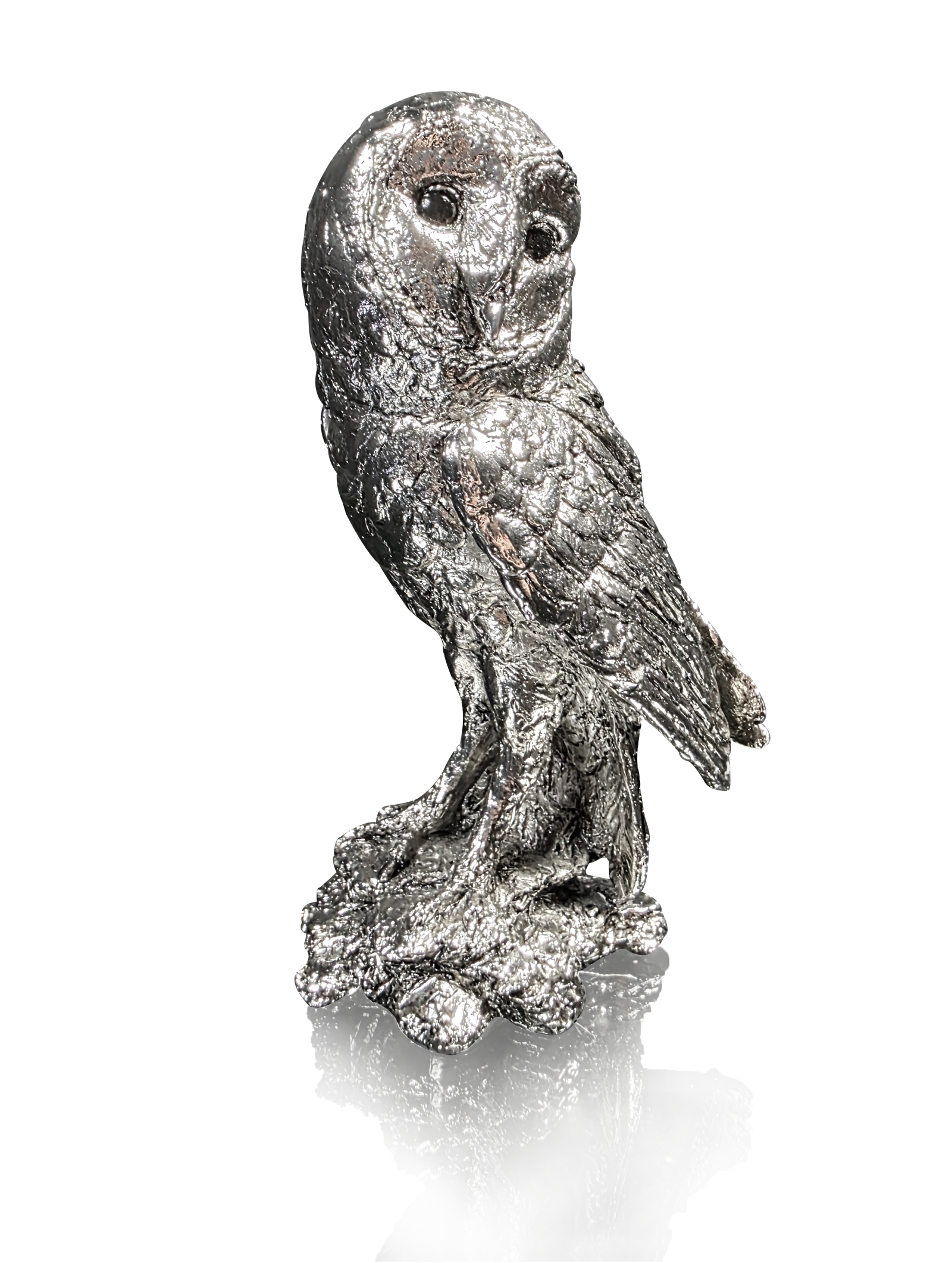 Richard Cooper Twilight Barn Owl-Goviers