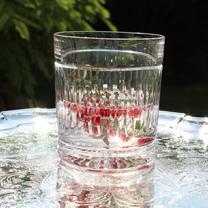 Royal Scot Crystal Art Deco Large Tumblers Set of 2-Home & Garden > Kitchen & Dining > Tableware > Drinkware-Goviers