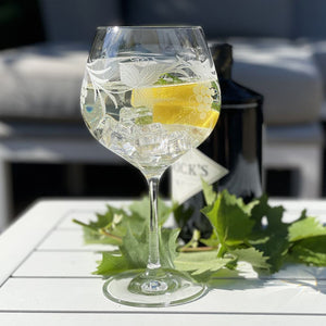 Royal Scot Crystal Grapevine Gin & Tonic Copa Glass-Goviers