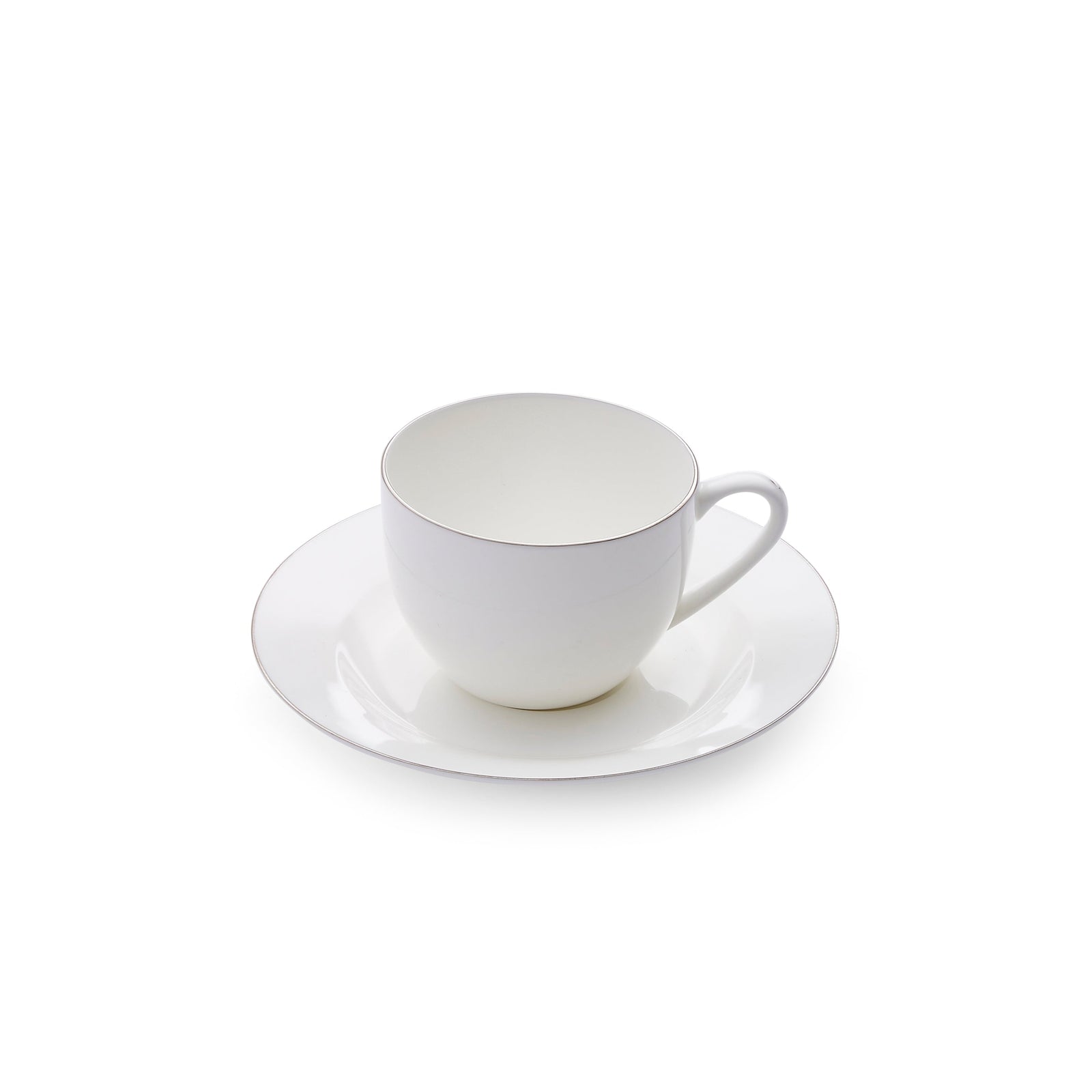 Royal Worcester Serendipity Platinum Teacup & Saucer-Goviers