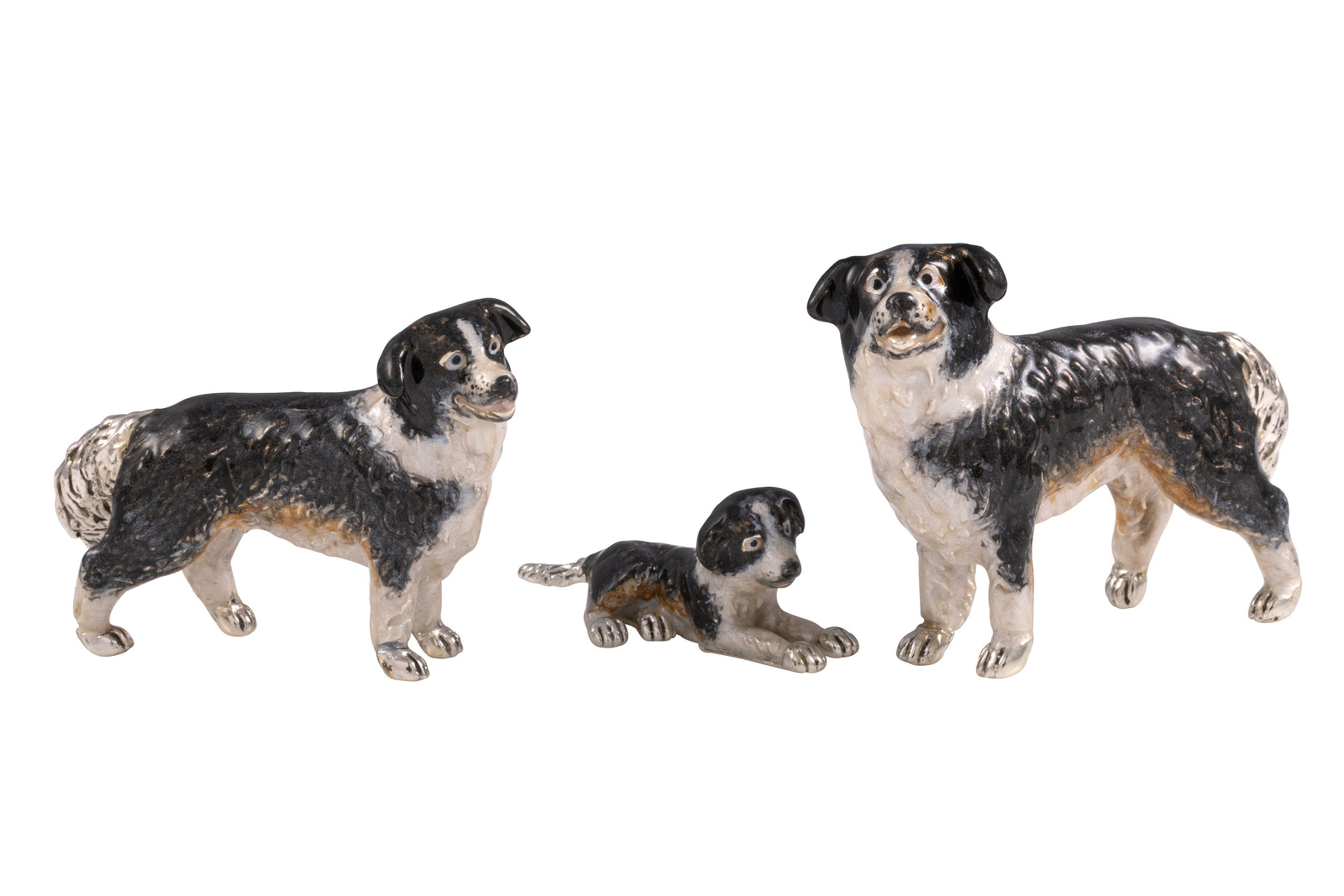 Saturno Border Collie Small-Goviers