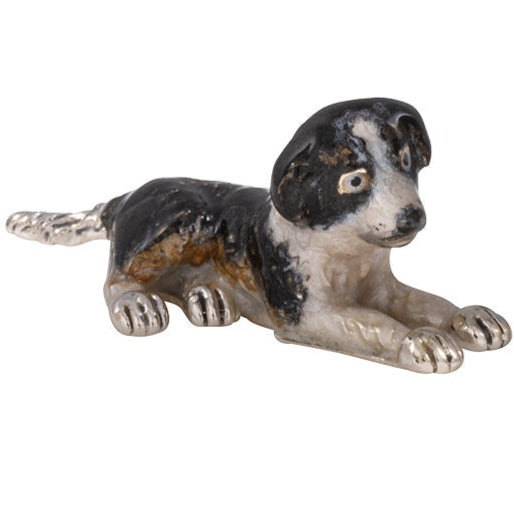 Saturno Border Collie Small-Goviers