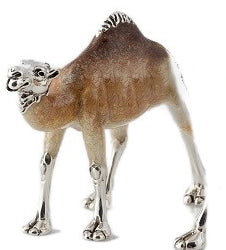 Saturno Camel Medium-Goviers