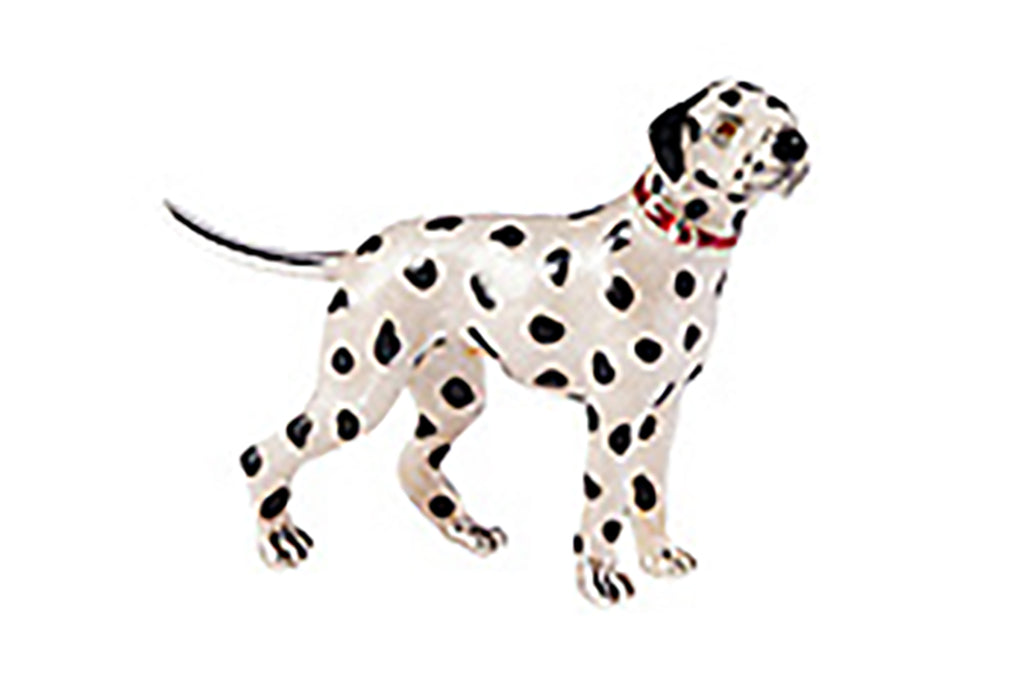 Saturno Dalmatian Large-Goviers