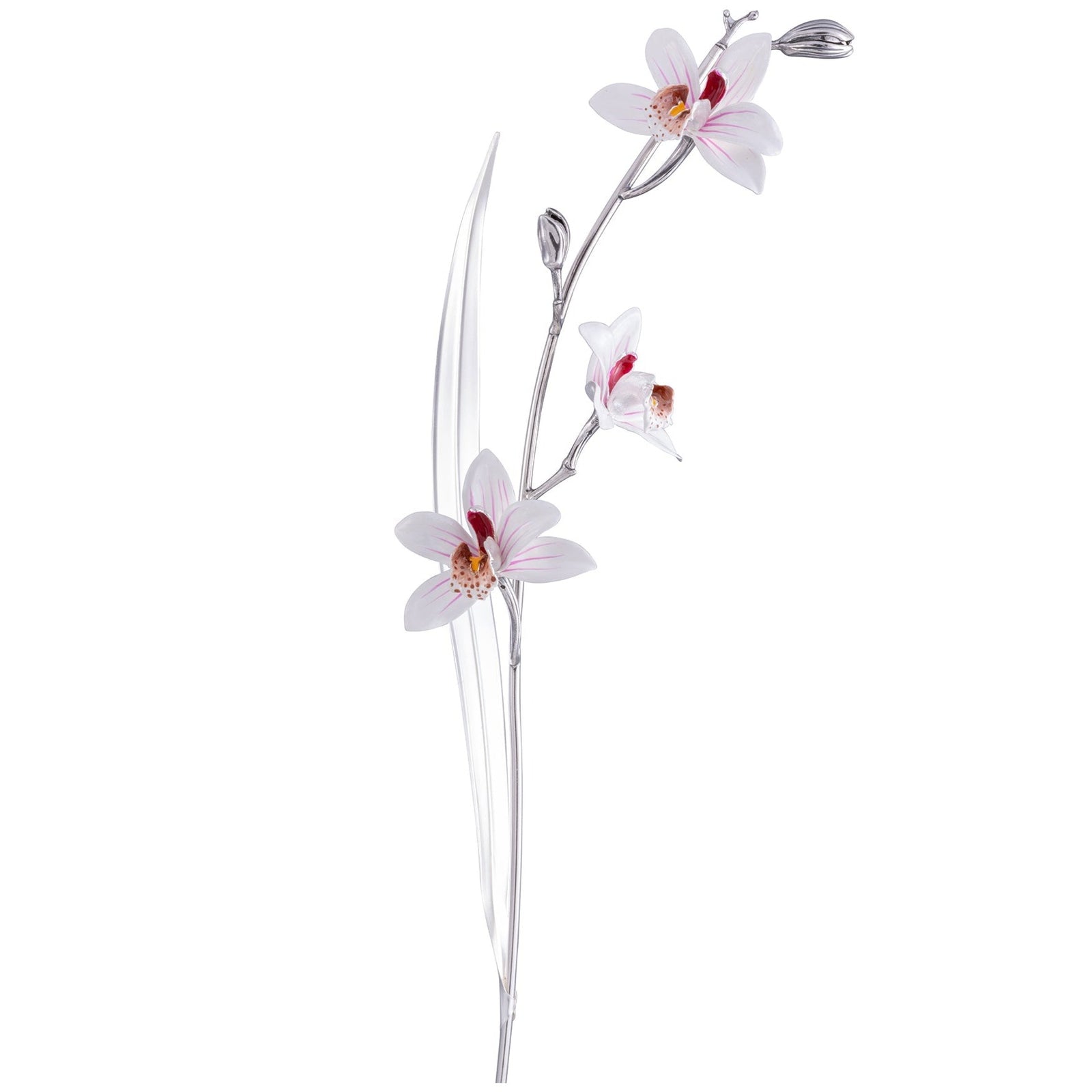 Saturno Orchid-Goviers