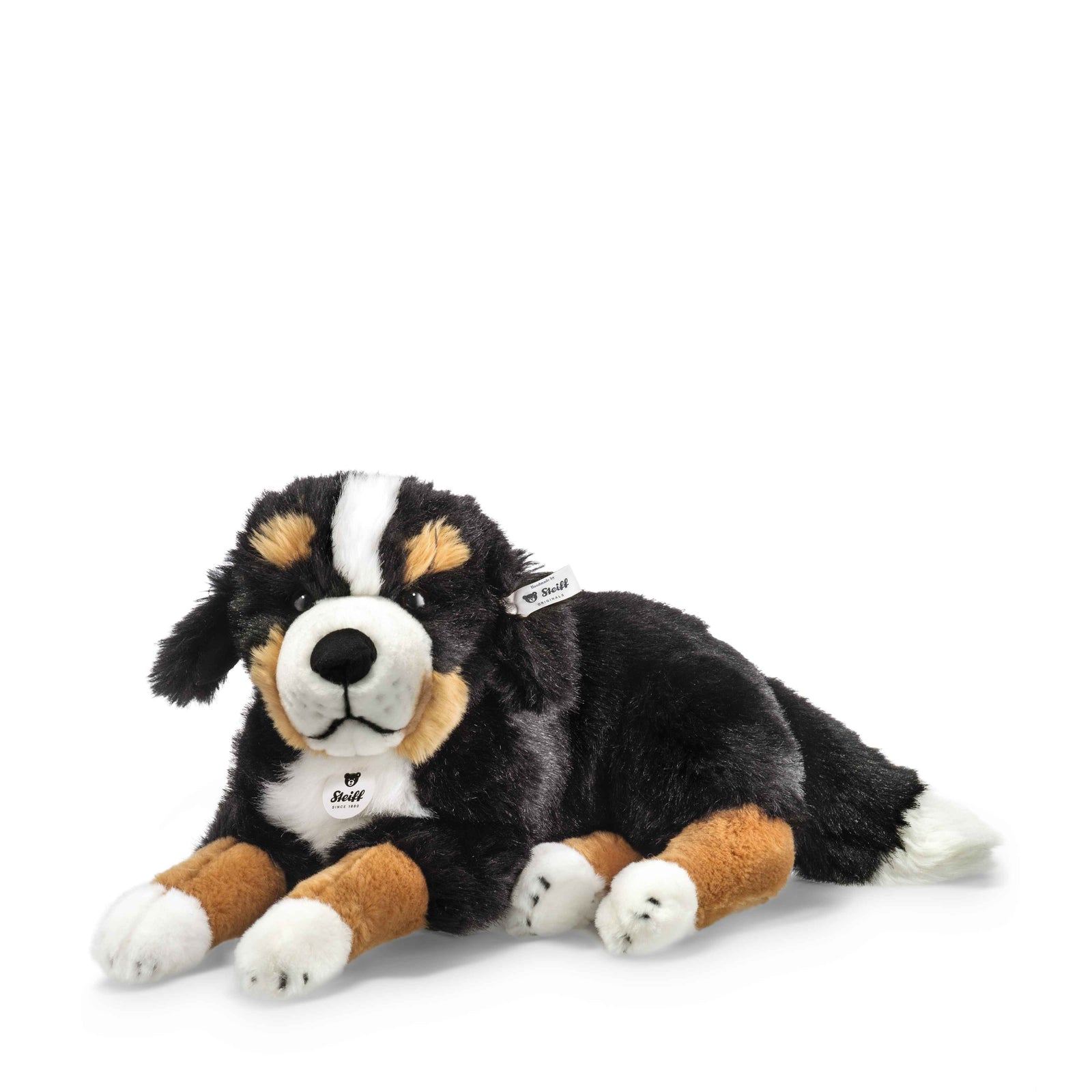 Steiff Senni Bernese Mountain Dog-Collectable Teddy Bears-Goviers