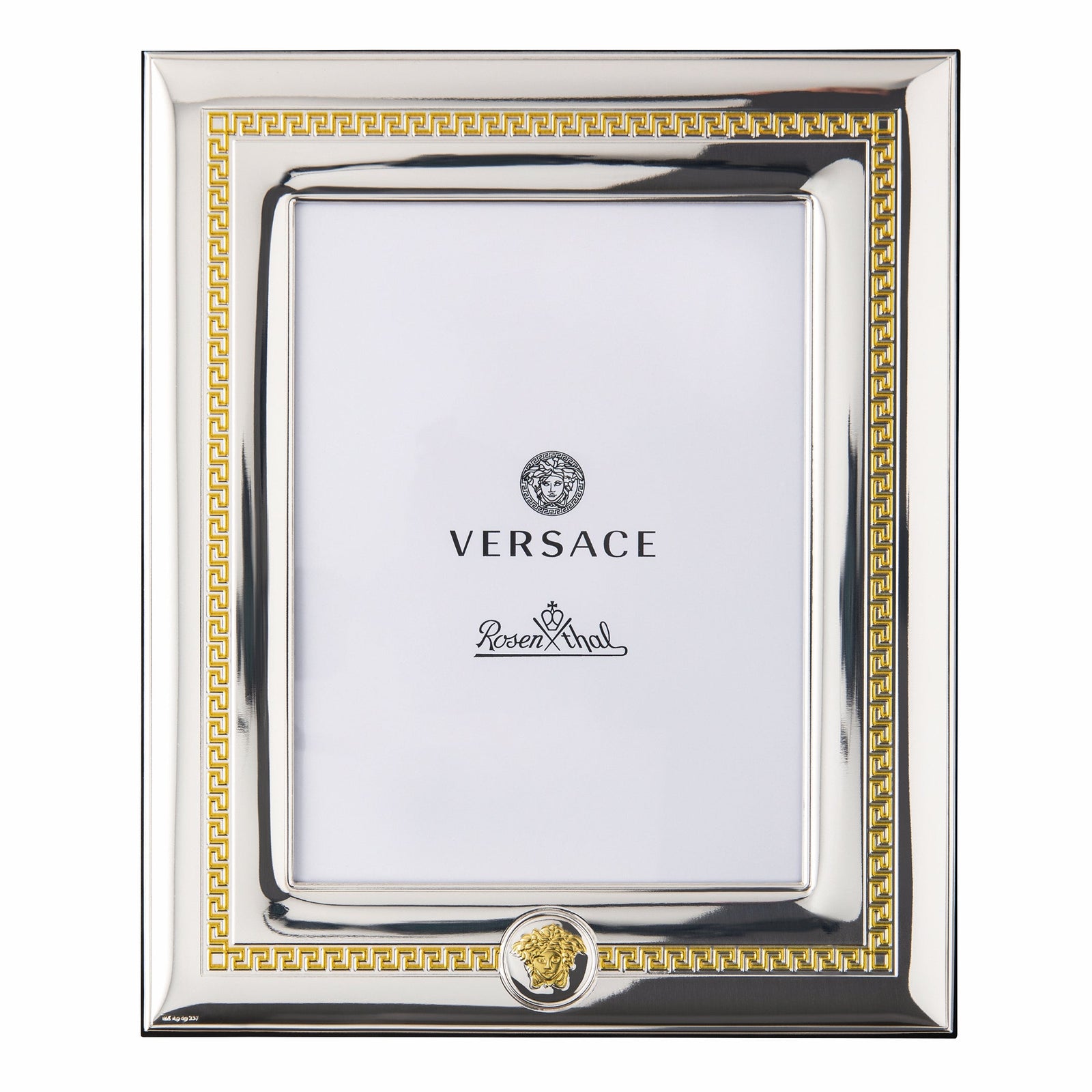 Versace Picture Frame Gold & Silver 15x20-Goviers