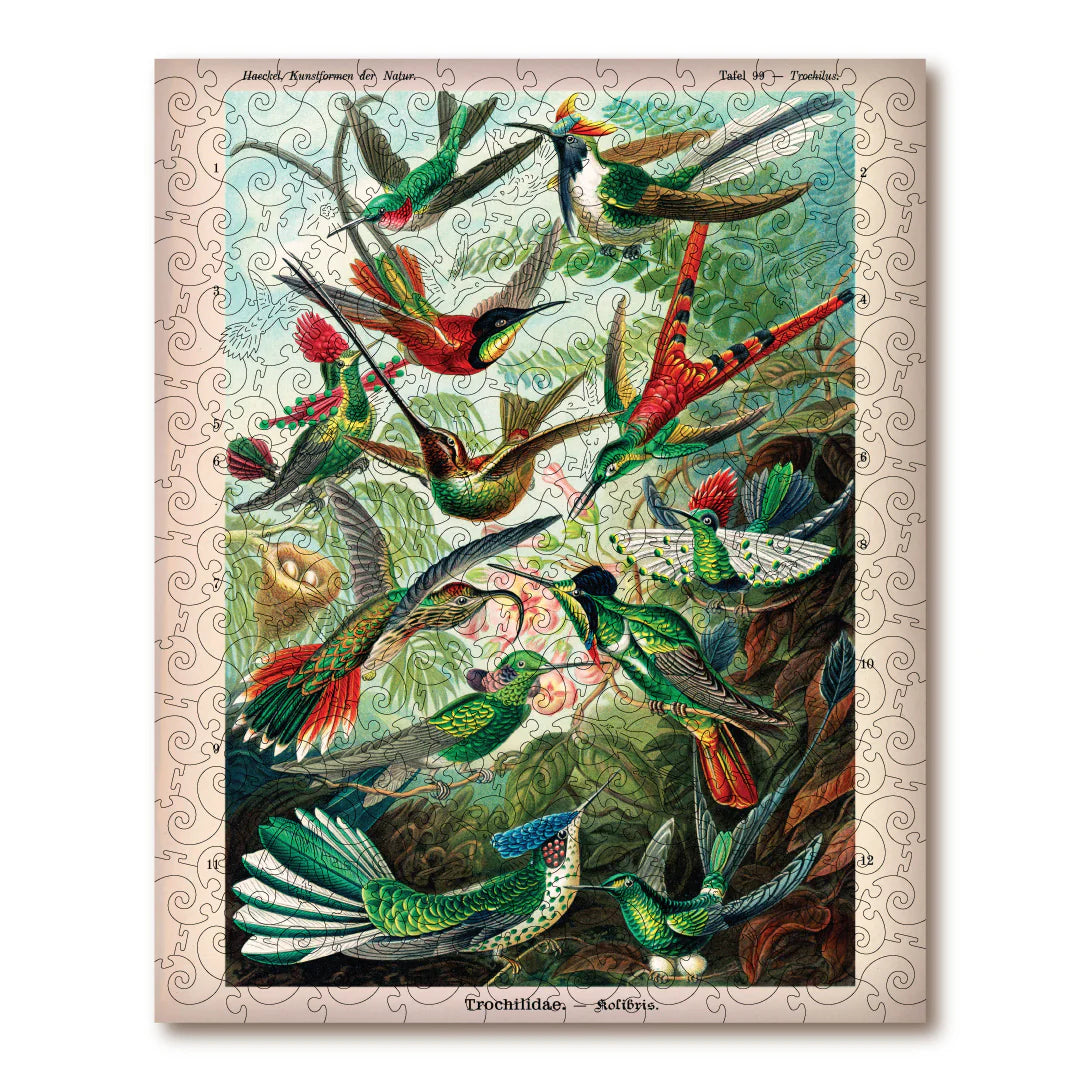 Victory Wooden Puzzles Hummingbirds (Trochilidae)-Goviers