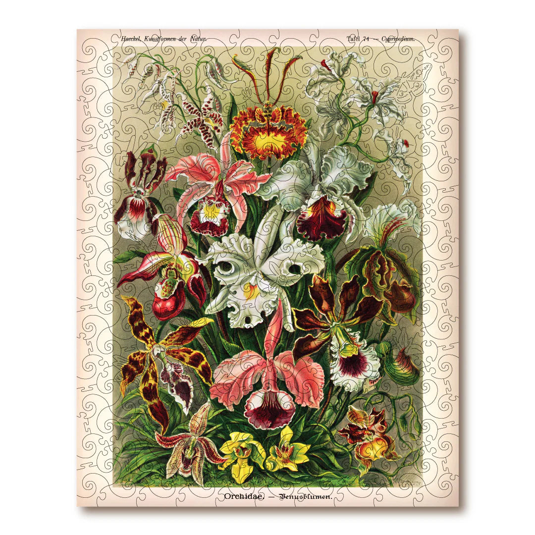 Victory Wooden Puzzles Orchids-Goviers