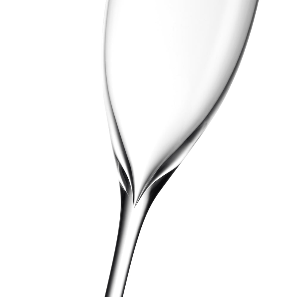 Waterford Crystal Elegance Champagne Classic Flute Set of 6-Goviers