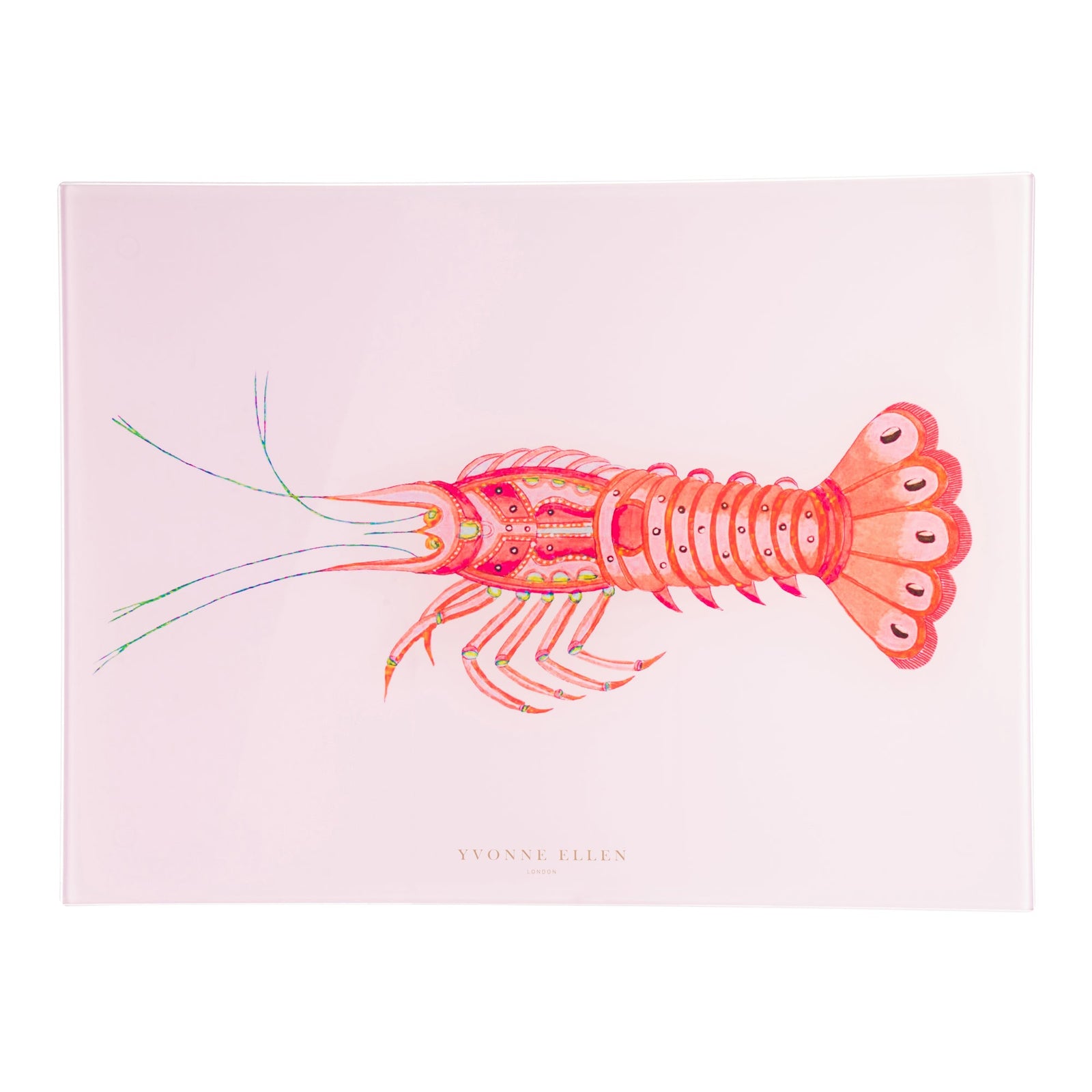 Yvonne Ellen Worktop Saver - Lobster-Goviers