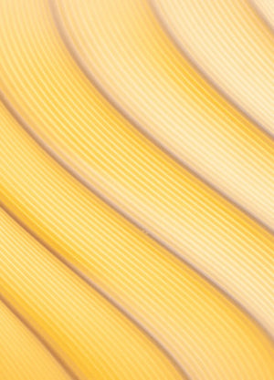 Lladro Ice Cream Portable Cordless lamp Black