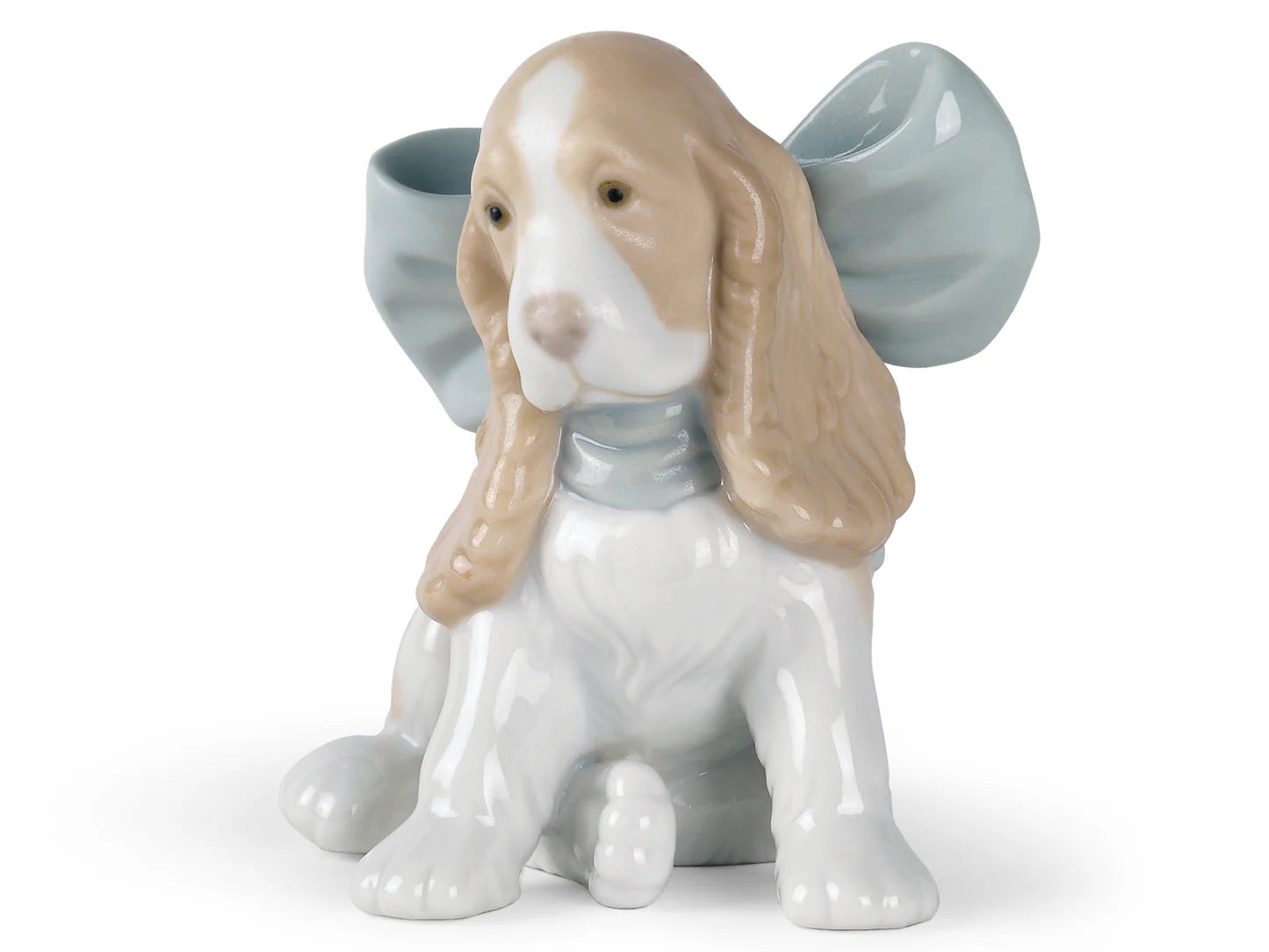 Nao puppy present