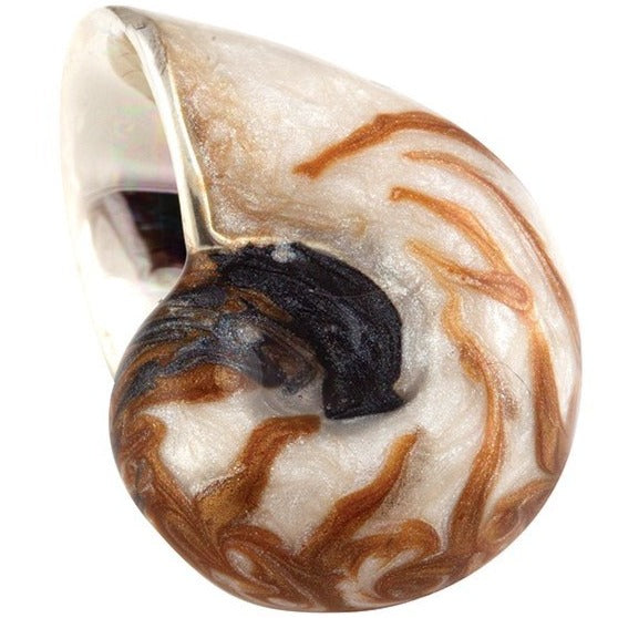 Saturno Winkle Shell-Collectables-Goviers